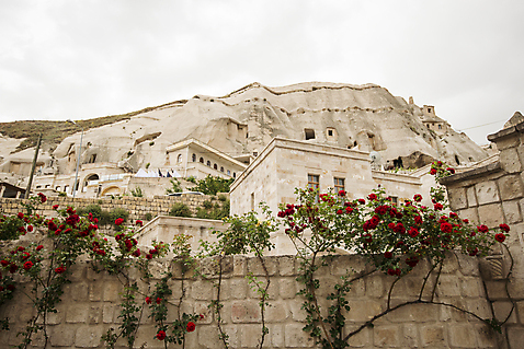 포토 자연요소 꽃 아시아 바위_돌 파일형식 튀르키예 담장 장미 돌 풍경 기암괴석 카파도키아 여행 JPG 사람없음 야외 주간 국내포토