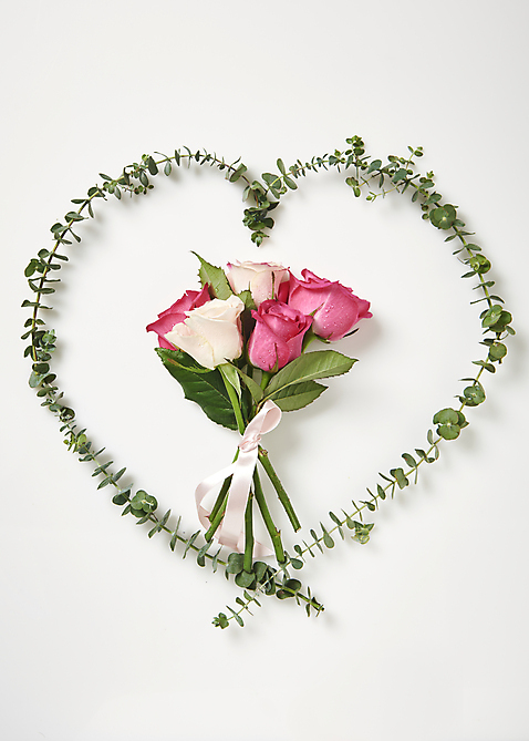 포토 식물 꽃 뷰포인트 실내 내부 파일형식 리본 장미 유칼립투스 백그라운드 스튜디오촬영 사람없음 JPG 하이앵글 국내포토