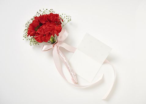 포토 JPG 스튜디오촬영 꽃 리본 꽃다발 백그라운드 카드_감사 실내 사람없음 하이앵글 어버이날 5월 스승의날 카네이션 5월행사 안개꽃 국내포토 식물 기념일 뷰포인트 프레임 이벤트 내부 날짜 한해살이풀 파일형식