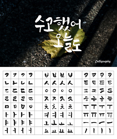 손글씨 캘리배경 백그라운드 일러스트 캘리그라피 나뭇잎 타이포그라피 한글 사람없음 세트 감성 모음 자음 조합형타이포 AI_파일형식 국내일러스트 문자 컨셉 잎 파일형식 벡터