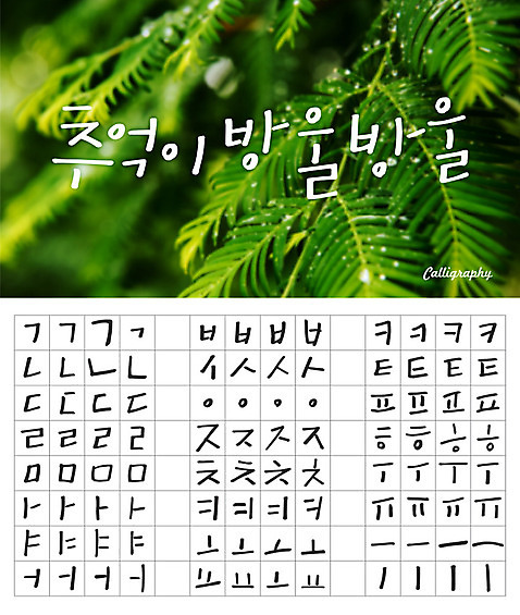 손글씨 캘리배경 백그라운드 일러스트 캘리그라피 나뭇잎 타이포그라피 한글 사람없음 세트 감성 모음 자음 조합형타이포 AI_파일형식 국내일러스트 문자 컨셉 잎 파일형식 벡터