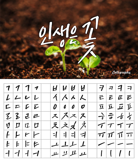 손글씨 캘리배경 백그라운드 일러스트 캘리그라피 타이포그라피 한글 사람없음 세트 새싹 흙 감성 모음 자음 조합형타이포 AI_파일형식 국내일러스트 식물 문자 컨셉 파일형식 벡터