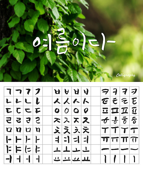 식물 손글씨 캘리배경 백그라운드 일러스트 캘리그라피 나뭇잎 타이포그라피 한글 사람없음 세트 감성 모음 자음 조합형타이포 AI_파일형식 여름_계절 국내일러스트 문자 계절 컨셉 잎 파일형식 벡터