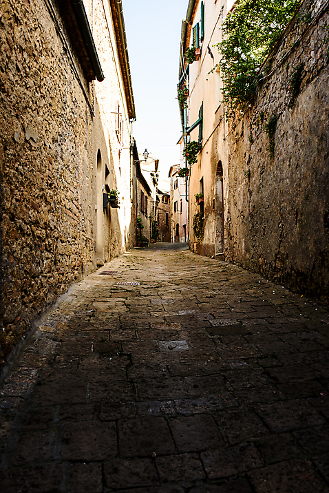 포토 자연요소 식물 해외 건축물 유럽 나라 길 풍경 이탈리아 파일형식 JPG 주간 나무 유럽풍경 사람없음 야외 건물 골목길 투스카니 해외풍경 국내포토