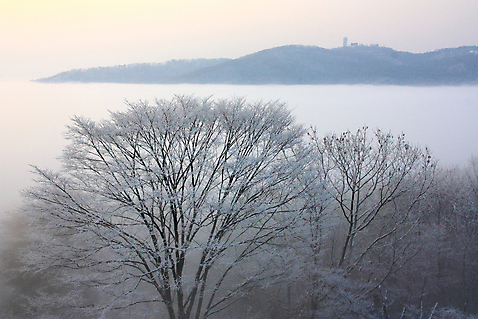 포토 JPG 주간 나무 설경 자연 산 눈_날씨 사람없음 야외 운해 남한산성 겨울풍경 광주_경기도 풍경_경치 국내포토 자연요소 식물 겨울 날씨 풍경 생태계 경기도 파일형식 구름_자연