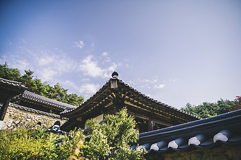 포토 JPG 주간 나무 전통 하늘 지붕 한옥 사람없음 야외 경상북도 안동 군자마을 구름_자연 풍경_경치 국내포토 자연요소 식물 한국전통 고건축 마을 경상도 파일형식