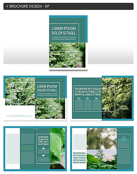 템플릿 ZIP 우산 창문 자연 그래프 나뭇잎 연꽃 근접촬영 팜플렛 사람없음 나뭇가지 비 빗방울 인디자인 INDD 이미지템플릿 자연요소 나무 꽃 뷰포인트 잎 날씨 비_날씨 생태계 파일형식