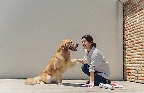 포토 JPG 주간 전신 한마리 여자 벽 벽돌 한명 사람 앉기 20대 성인 야외 옆모습 반려동물 마주보기 한국인 잡기 페인트칠 골든리트리버 강아지 페인트롤러 웅크림 목장갑 반려 성인여자한명만 펫팸족 미소_표정 국내포토 자연요소 동물 1 뷰포인트 장갑 모션 페인팅 표정 동양인 청년 개 리트리버 신조어 여자한명만 성인여자만 파일형식