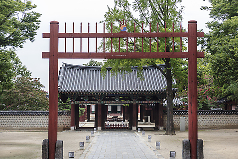 포토 자연요소 식물 전통 건축 문화 지붕 한국 기와 담장 전라북도 전통문 한옥마을 전주 파일형식 경기전 전통문화 역사 한국전통 한국건축 나무 기와담장 기와지붕 문화재 홍살문 JPG 주간 야외 사람없음 여행 전주한옥마을 풍경_경치 국내포토