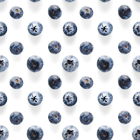 백그라운드 무늬 과일 흰색 파일형식 블루베리 흰배경 사람없음 패턴 JPG 포토 해외이미지 이미지허브