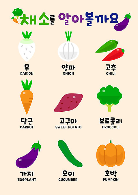 교육 채소 일러스트 고추 호박 가지 양파 오이 실내 사람없음 컬러풀 유치원 당근 브로콜리 무 고구마 벽보 AI_파일형식 국내일러스트 컬러 뿌리채소 내부 파일형식 벡터
