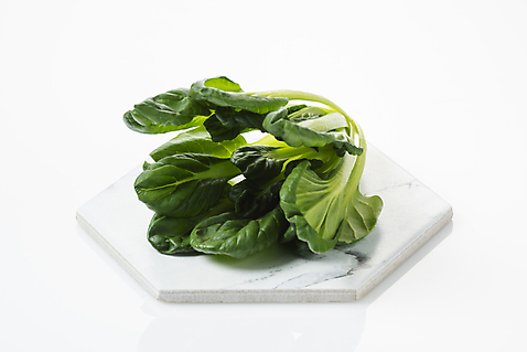 포토 식기 웰빙 음식 컬러 다수 백그라운드 채소 실내 건강 내부 흰색 파일형식 초록색 여러개 JPG 신선 유기농 다이어트 건강식 식재료 흰배경 스튜디오촬영 사람없음 오브젝트 그릇 채식 누끼 국내포토 다채