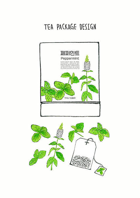 PSD 디자인 잎 일러스트 붓터치 사람없음 초록색 차_음료 허브 번짐 패키지 티백 페퍼민트 허브차 수채화_물감 국내일러스트 식물 음료 컬러 민트 파일형식 효과