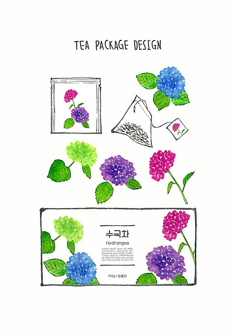 PSD 디자인 꽃 잎 일러스트 붓터치 사람없음 차_음료 컬러풀 번짐 패키지 수국 티백 꽃차 수채화_물감 국내일러스트 식물 음료 컬러 파일형식 효과