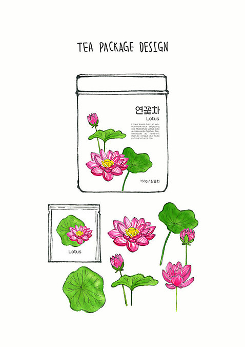 PSD 디자인 꽃 분홍색 일러스트 붓터치 사람없음 초록색 차_음료 컬러풀 연잎 번짐 패키지 티백 꽃차 연꽃차 수채화_물감 연꽃_꽃 국내일러스트 식물 음료 컬러 잎 파일형식 효과