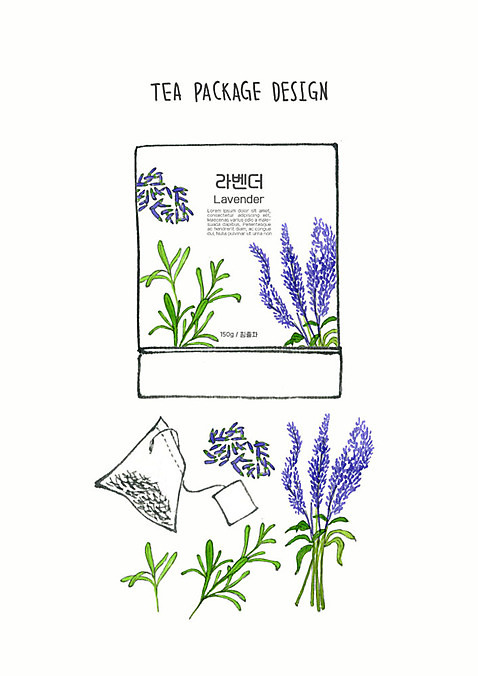 PSD 디자인 꽃 일러스트 붓터치 사람없음 차_음료 컬러풀 보라색 허브 번짐 패키지 라벤더 티백 허브차 수채화_물감 국내일러스트 식물 음료 컬러 파일형식 효과