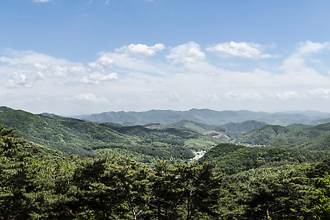 포토 JPG 주간 여행 자연 하늘 한국 사람없음 야외 관광지 맑음 봄 국내여행 양평 용문산 구름_자연 풍경_경치 국내포토 자연요소 계절 아시아 날씨 산 생태계 경기도 파일형식