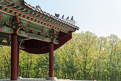 포토 자연요소 식물 전통 계절 여행 고건축 날씨 한국 기와 문화재 역사 왕 경기도 왕릉 파일형식 왕후 나무 잡상 정자각 JPG 한국전통 한국사 풍경 주간 조선시대 유적지 야외 세계문화유산 봄 관광지 사람없음 효의왕후 정조 건릉 조선왕릉 화성시 맑음 국내포토