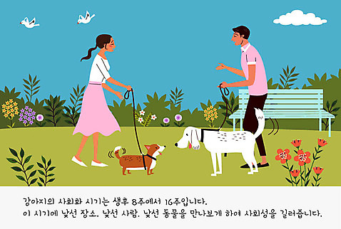 공원 여자 교육 남자 꽃 반려견 두마리 벤치 일러스트 조류 사람 두명 반려동물 귀여움 풀_식물 개 강아지 연습 교정 목줄 주인 반려 펫팸족 AI_파일형식 구름_자연 국내일러스트 자연요소 식물 동물 공공시설 컨셉 2 의자 포유류 신조어 파일형식 벡터 반려용품