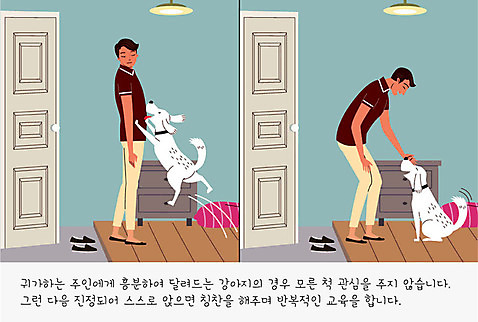 교육 남자 반려견 신발 일러스트 조명 방석 사람 두명 반려동물 문 귀여움 개 강아지 무관심 연습 현관문 서랍장 교정 주인 반려 칭찬 남자만 펫팸족 AI_파일형식 국내일러스트 동물 감정 가구 컨셉 포유류 신조어 파일형식 벡터