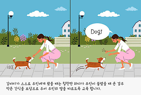 식물 공원 여자 교육 꽃 반려견 가로등 벤치 일러스트 주택 사람 두명 반려동물 귀여움 산책 풀_식물 개 강아지 연습 교정 주인 반려 애견간식 여자만 펫팸족 AI_파일형식 구름_자연 국내일러스트 자연요소 동물 공공시설 컨셉 의자 포유류 휴식 건물 신조어 파일형식 벡터