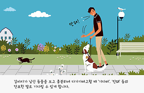 식물 공원 교육 남자 꽃 반려견 가로등 벤치 일러스트 조류 주택 한명 사람 반려동물 귀여움 고양이 산책 개 강아지 연습 교정 목줄 주인 반려 남자한명만 펫팸족 AI_파일형식 구름_자연 국내일러스트 자연요소 동물 1 공공시설 컨셉 의자 포유류 휴식 건물 신조어 남자만 파일형식 벡터 반려용품