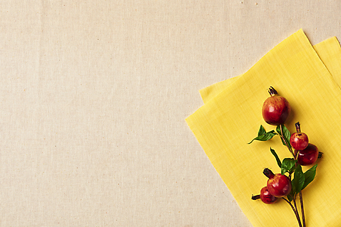 포토 나무 식물 전통 뷰포인트 컬러 백그라운드 과일 한국 실내 내부 직물 베이지색 파일형식 열매 베이지색배경 나뭇가지 석류 노란색 모시 원단샘플 질감 천 스튜디오촬영 하이앵글 JPG 사람없음 한국전통 국내포토