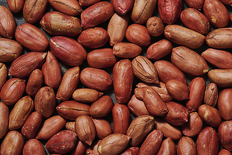 포토 웰빙 뷰포인트 다수 실내 내부 견과류 플랫 정월대보름 건강식품 건강식 파일형식 JPG 웰빙음식 오브젝트 스튜디오촬영 슈퍼푸드 부럼 건강 사람없음 땅콩 하이앵글 플랫레이 여러개 근접촬영 알맹이 국내포토