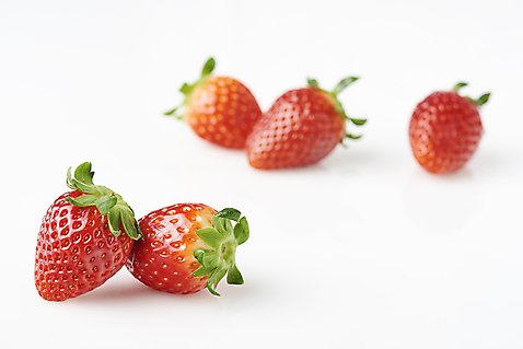 포토 웰빙 다수 백그라운드 과일 촬영기법 실내 내부 흰색 맛 제철 파일형식 아웃포커스 JPG 달콤 유기농 신선 딸기 사람없음 스튜디오촬영 누끼 흰배경 여러개 제철과일 국내포토