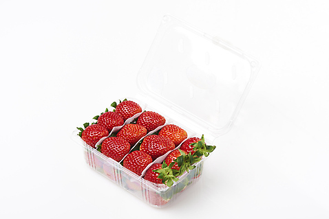 포토 웰빙 다수 백그라운드 과일 재질 실내 내부 흰색 맛 제철 포장재료 파일형식 플라스틱 포장용기 JPG 달콤 유기농 신선 딸기 사람없음 스튜디오촬영 누끼 흰배경 여러개 제철과일 국내포토