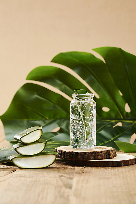 포토 식물 웰빙 다수 백그라운드 실내 건강 관리 내부 뷰티 갈색 화장품 알로에 젤 파일형식 몬스테라 JPG 유기농 신선 다육식물 건강관리 스튜디오촬영 사람없음 갈색배경 사포나리아 단면 알로에젤 여러개 오브젝트 나무배경 국내포토