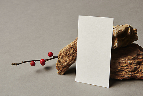 포토 JPG 스튜디오촬영 열매 명함 회색배경 프레임 실내 사람없음 기댐 공백 돌_바위 나뭇가지 오브젝트 나무조각 디자인소스 목업 카피스페이스 편집소스 낙상홍 국내포토 나무 식물 백그라운드 모션 내부 목재 회색 파일형식