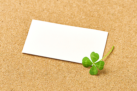 포토 식물 백그라운드 컨셉 프레임 실내 내부 갈색 공백 클로버 파일형식 종이 카피스페이스 갈색배경 네잎클로버 행운 카드프레임 스튜디오촬영 JPG 사람없음 국내포토