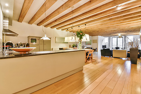 포토 JPG 해외이미지 화분 전등 실내 사람없음 목재 인테리어 소파 주방 꽃병 싱크대 조리대 심플 해외포토 나무 디자인 꽃 의자 재료 조명 내부 개수대 파일형식 이미지허브