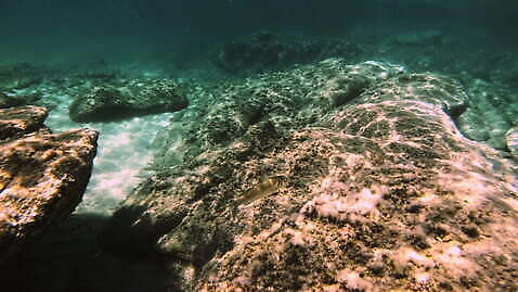 야생동물 바다 여행 백그라운드 자연 휴가 풍경 사람없음 야외 물 여름 파란색 맑음 수중 바위 스노클링 다이빙 암초 4K MOV 해외동영상 클립영상 자연요소 동물 계절 컬러 날씨 수영 돌_바위 수상스포츠 생태계 동영상 수중스포츠 파일형식