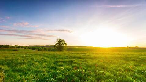 나무 식물 구름 계절 컬러 밭 모션 자연 날씨 풍경 잔디 사람없음 야외 초록색 여름 파란색 빛 농작물 햇빛 태양 노란색 황혼 일몰 봄 새벽 활발 시골 시간 땅 밀 조경 넘어짐 웅장함 수평선 4K 타임랩스 MP4 해외동영상 클립영상 자연요소 컨셉 농업 곡류 촬영기법 노을 생태계 동영상 파일형식