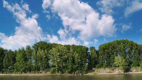 나무 구름 계절 여행 자연 하늘 풍경 사람없음 초록색 여름 강 4K MOV 해외동영상 클립영상 자연요소 식물 컬러 생태계 동영상 파일형식