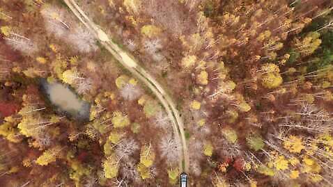 나무 공원 도로 여행 교통시설 자국 자동차 자연 산 안테나 스웨덴 노르웨이 핀란드 사람없음 야외 목재 초록색 운전 시골 소나무 황무지 정상 숲 먼지 항공촬영 스칸디나비아 4K MOV 해외동영상 클립영상 식물 공공시설 유럽 길 육상교통 뷰포인트 컬러 교통 재료 통신 모션 북유럽 시설 생태계 동영상 파일형식