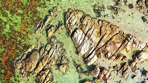 백그라운드 사람없음 모래사장 야자수 태양 기쁨 껍질 흰색 다이빙 이국적 터키석 4K MP4 해외동영상 클립영상 자연요소 나무 감정 바다 컬러 수영 보석 동영상 수중스포츠 파일형식