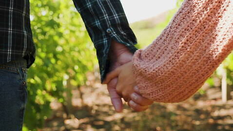 백인 라이프스타일 커플 여자 남자 밭 관계 자연 포도 휴가 함께함 사랑 사람 야외 여행객 걷기 와인 손잡기 낭만 자유 가을 시골 잡기 결합 포도밭 포도나무 돌봄 양조장 정확 4K MOV 해외동영상 클립영상 서양인 계절 감정 컨셉 농업 과일 모션 주류 생활 과일나무 생태계 동영상 파일형식