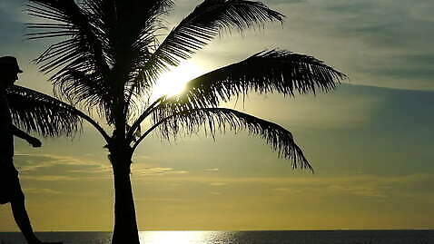 라이프스타일 커플 여자 남자 행복 실루엣 바다 여행 백그라운드 가족 모션 하늘 사람 성인 야외 물 여름 태양 걷기 일출 일몰 저녁 MOV 해외동영상 클립영상 자연요소 계절 감정 관계 촬영기법 생활 노을 야간 동영상 파일형식