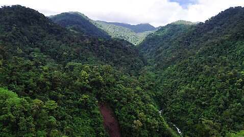 나무 공원 자연 안테나 국립공원 풍경 사람없음 야외 초록색 여름 환경 계곡 침묵 놀람 다양 황무지 숲 열대우림 생태계 장면 동영상 항공촬영 드론 코스타리카 파라다이스 4K MOV 해외동영상 클립영상 식물 계절 공공시설 감정 뷰포인트 컬러 다수 통신 표정 소리 중앙아메리카 파일형식
