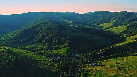 나무 산 풍경 사람없음 야외 마을 일출 숲 4K MOV 해외동영상 클립영상 식물 노을 동영상 파일형식