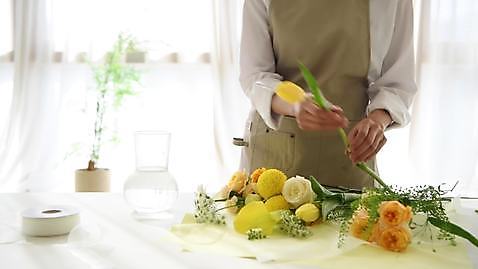 여자 꽃 가위 실내 한명 들기 상반신 성인 장미 한국인 튤립 작업 자르기 꽂음 플로리스트 성인여자한명만 4K MP4 MOV 국내동영상 클립영상 식물 직업 1 모션 문구용품 사람 동양인 내부 동영상 여자한명만 성인여자만 파일형식