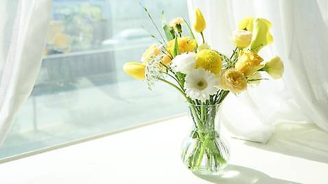 꽃다발 백그라운드 사람없음 창가 비디오 4K MP4 MOV 국내동영상 꽃 창문 동영상 파일형식
