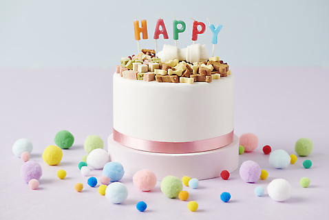 포토 기념일 디저트 실내 애견용품 영양소 파일형식 펫푸드 먹이 케이크 생일 스튜디오촬영 JPG 오브젝트 사람없음 애견간식 영양_영양소 국내포토