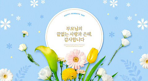 PSD 편집이미지 백그라운드 잎 카드_감사 프레임 사람없음 파란색 장미 튤립 원형 어버이날 카네이션 카라 감사 데이지 가정의달 이미지편집 도형 식물 기념일 꽃 감정 컬러 5월 파일형식