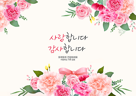 PSD 손글씨 리본 분홍색 일러스트 캘리그라피 가족 사랑 사람없음 장미 축하 풀_식물 카네이션 감사 축하카드 존경 국내일러스트 식물 꽃 감정 컬러 컨셉 관계 카드_감사 파일형식