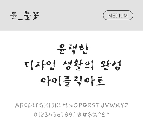 폰트 한글 사람없음 OTF 국문폰트 낱개폰트 설치폰트 디자인서체 미디움체 윤폰트 불꽃체 문자 파일형식