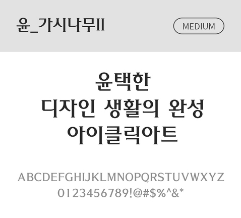 폰트 한글 사람없음 OTF 국문폰트 낱개폰트 설치폰트 디자인서체 미디움체 윤폰트 가시나무체 문자 파일형식